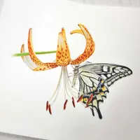 Акварельный курс "Бабочки"