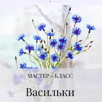 Васильки