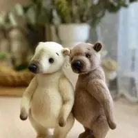 Мои медведи