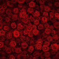 Исцелитель сердечных страданий