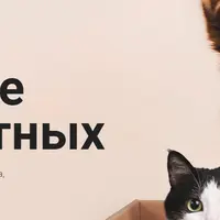 Гайд «В мире животных»