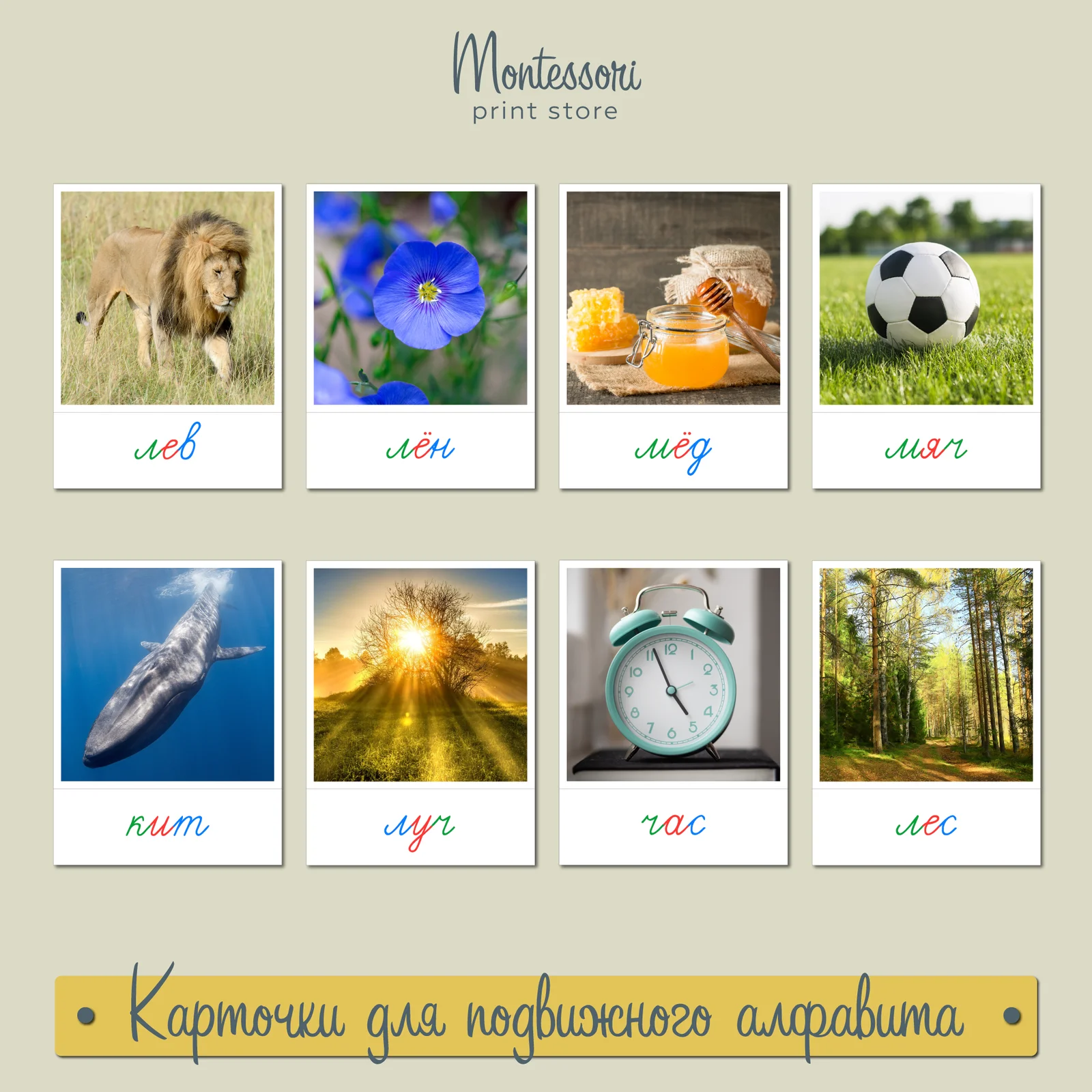 Обложка курса