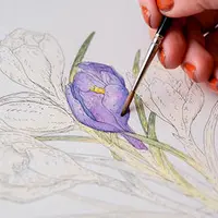 Иллюстрирование природы акварелью и ручкой