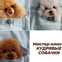 Кудрявые собаки