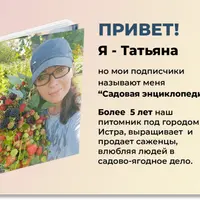 Посадка клубники