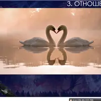 Видеосистема Автомаг