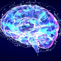 Выращивайте новые клетки мозга - восстановите свой мозг