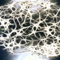 Перепрограммируйте свое подсознание: распорядок дня для достижения успеха