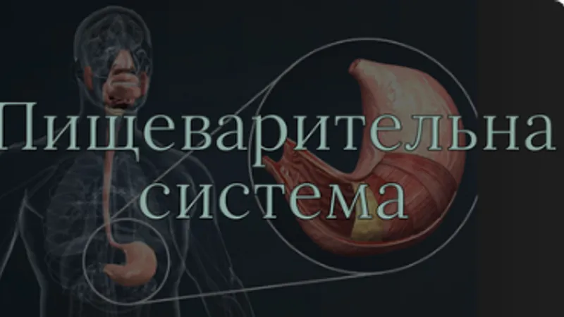 Модуль 4. Пищеварительная система
