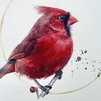 Иллюстрации природы акварелью и углем