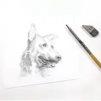 Три зарисовки