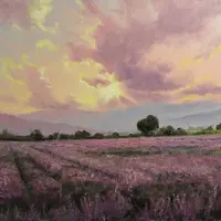 Лавандовое поле