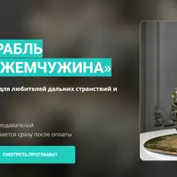 Торт-Корабль «Черная Жемчужина»