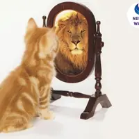 Железобетонная самооценка