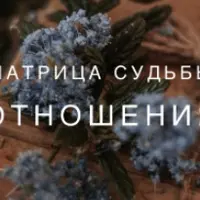 Матрица. Отношения