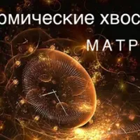 Матрица. Кармический хвост