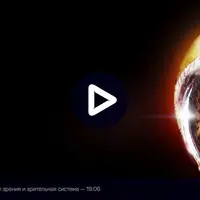 Зрительное восприятие: от физиологии к образу