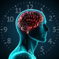 Улучшение мозга и тела