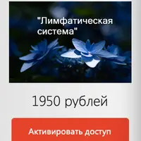 Молчаливая медитация «Лимфатическая система»