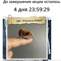 Птичка Киви