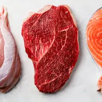 Суть карнивор питания