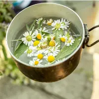 Травы и победа над стрессом. Спокойствие, только спокойствие!