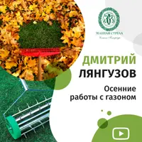 Осенние работы с газоном