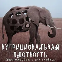 Нутрициональная плотность питания