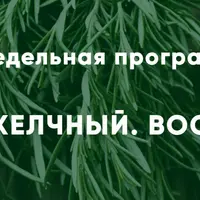 Печень. Желчный. Воспаление