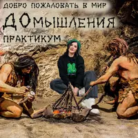 ДОмышления