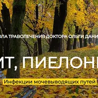 Цистит и пиелонефрит. Устранение инфекций мочевыводящих путей траволечением