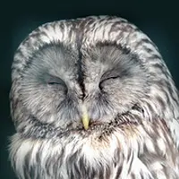 Секреты здорового сна