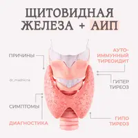 Щитовидная железа + АИП