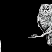 Натуралистическое рисование животных графитным карандашом