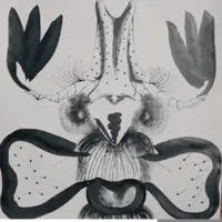 Баланс чёрного