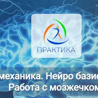 Нейробиомеханика. Нейро базисы движения. Работа с мозжечком