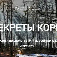 Секреты коры