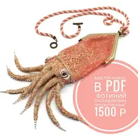 Сумка-трансформер Кальмар