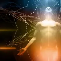 Магическая анатомия