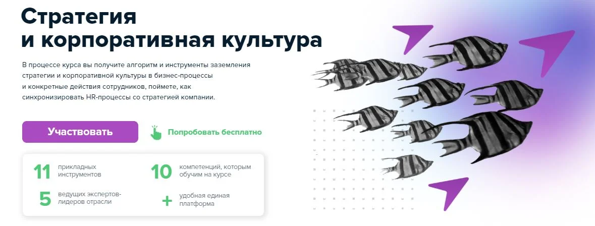 Обложка курса