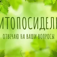 Фитопосиделки-1