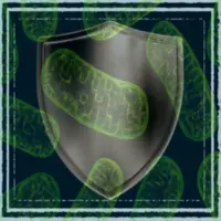 Смесь для защиты митохондрий