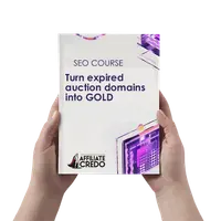 Превратите просроченные аукционные домены в сайты с деньгами в Google