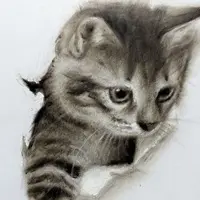 Сухая кисть. Анималистика