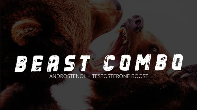 Beast Combo - Медитация силы + усиление влияния на подсознательном уровне