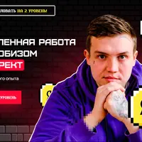 Углубленная работа с инфобизом в Яндекс.Директ