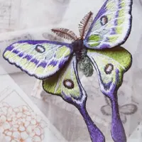 Третий мотыльковый марафон