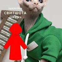 Свитшот для кота