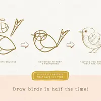 Набор инструментов для рисования птиц. Procreate Bird Drawing Toolkit Brushes