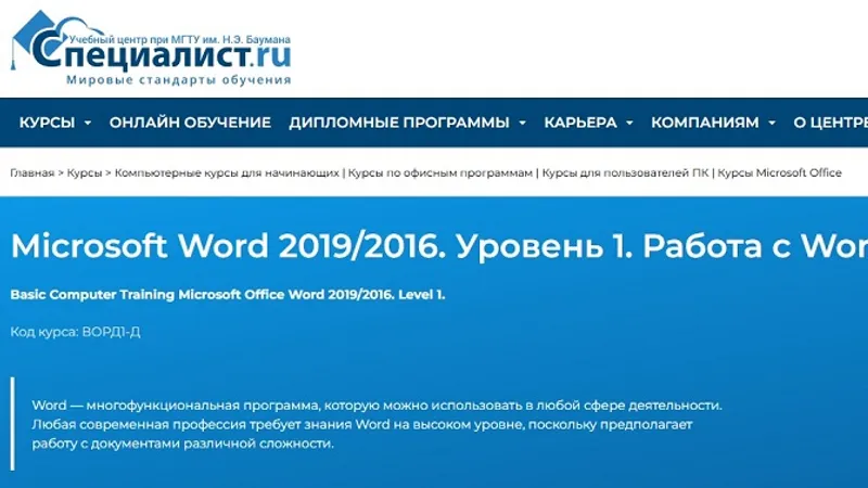 Microsoft Word 2019 2016. Уровень 1. Работа с Word 2019 2016